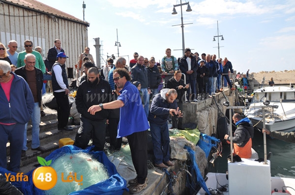 samak denisss (22).JPG